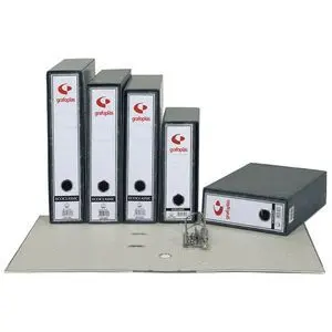Caja Archivador Jaspeado Folio 07170000 Gp