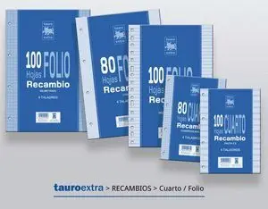 Recambio 4º 80H 4 Taladros Pauta 3,5Mm