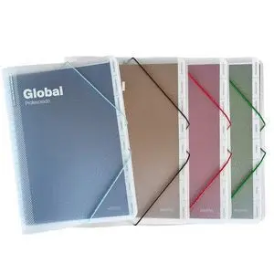 Carpeta Global Profesorado