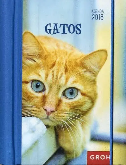 018 Agenda Gatos