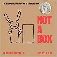 Not a Box Board Bk