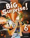 013 Sb 6Ep Big Surprise