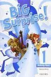 Big Surprise! 1Ep Activity Book