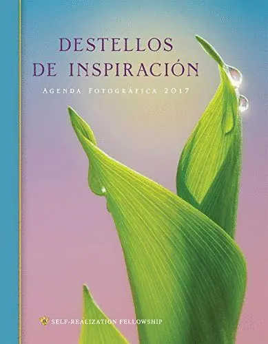 017 Destellos de Inspiracion. Agenda Fotografica