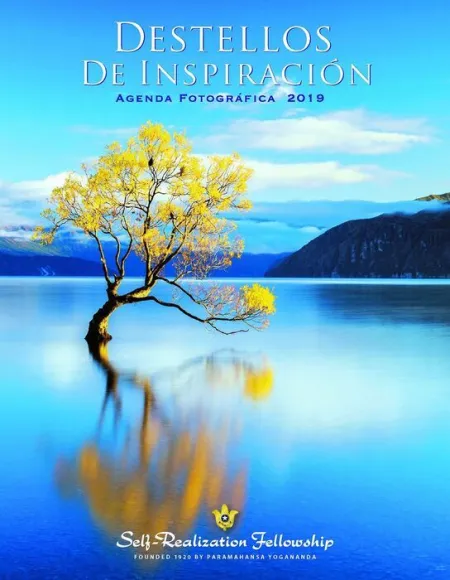 Destellos de Inspiracion. Agenda Fotografica 2019