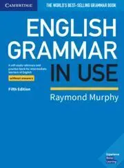 English Grammar In Use Book Without Answers
