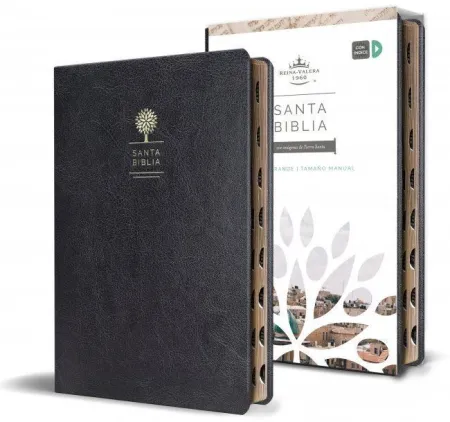 Biblia Reina Valera 1960 Letra Grande. Símil Piel Negro