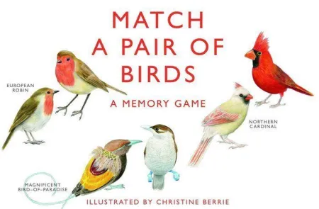 Match a Pair Of Birds