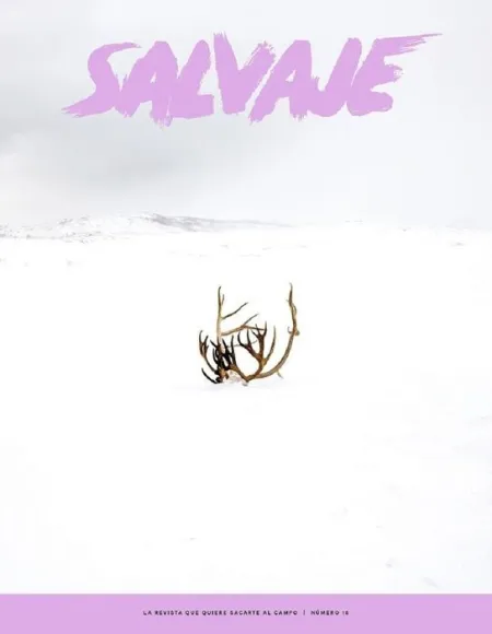 N15 Revista Salvaje