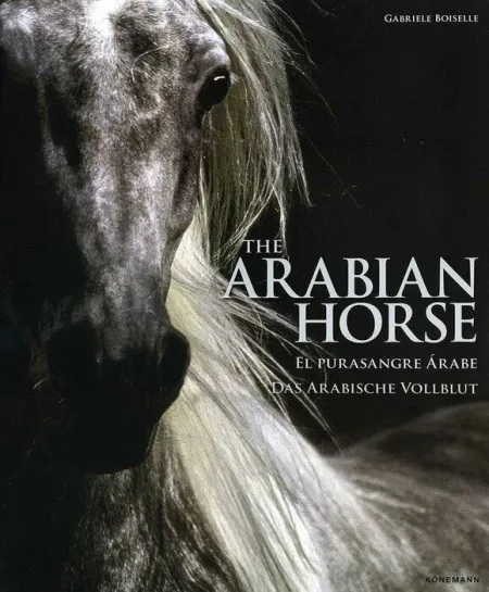 The Arabian Horse. El Purasangre Arabe. Das Arabische Vollblut
