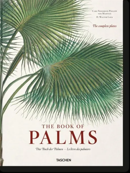 Martius. The Book Of Palms