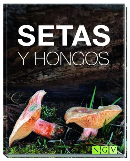 Setas y Hongos