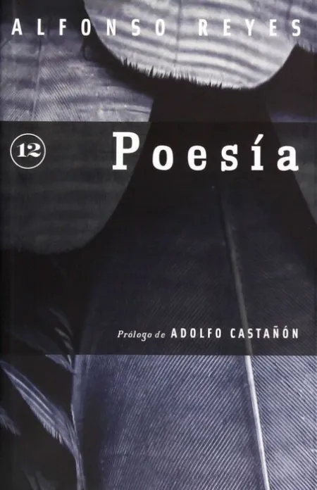 Poesia