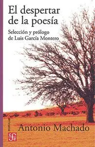 El Despertar de la Poesia
