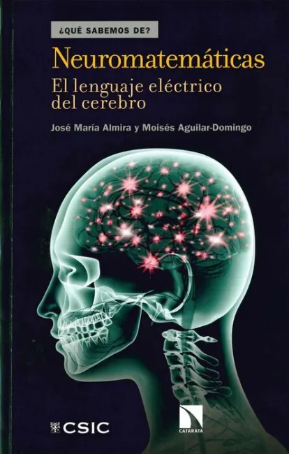 Neuromatemáticas : el Lenguaje Eléctrico del Cerebro