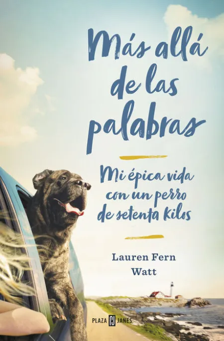 Más Allá de las Palabras