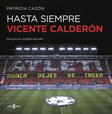 Hasta Siempre, Vicente Calderón