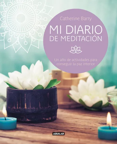 Mi Diario de Meditación