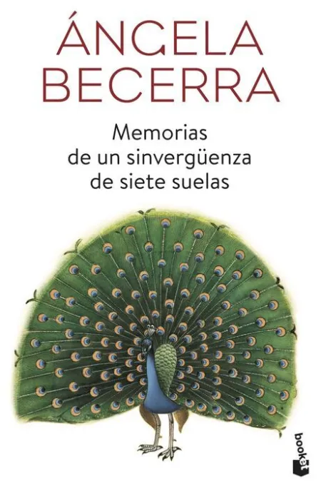 Memorias de un Sinvergüenza de Siete Suelas