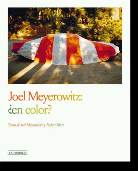 Joel Meyerowtz: ¿En Color?