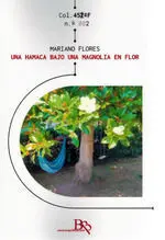 Una Hamaca Bajo una Magnolia en Flor
