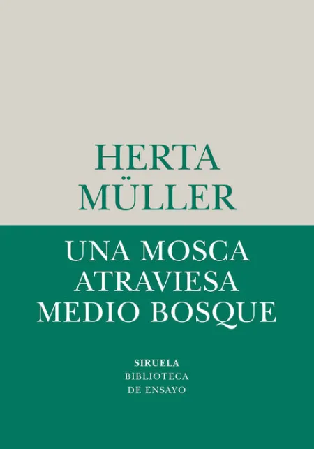 Una Mosca Atraviesa Medio Bosque