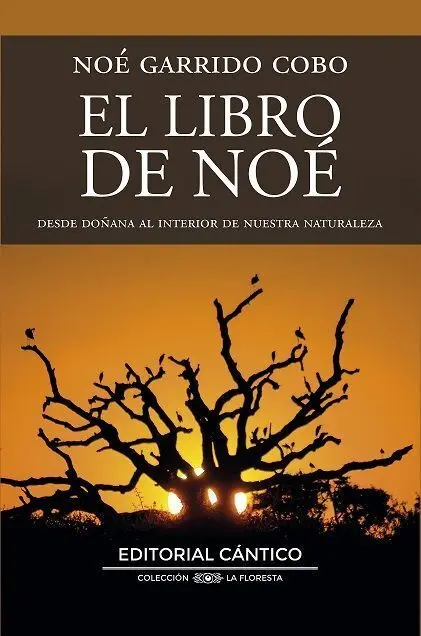 Libro de Noé, el