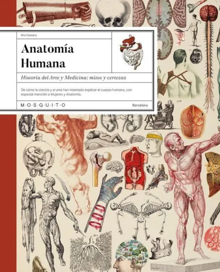 Anatomia