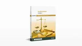025 T1 Auxilio Judicial