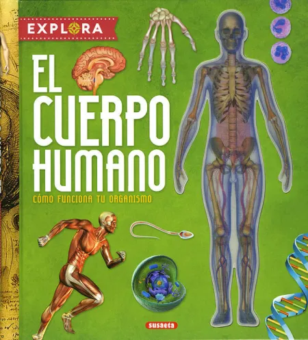 Explora el Cuerpo Humano Ref S-3886003