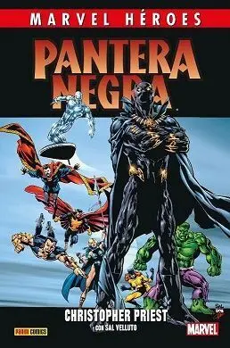 Marvel Heroes 110 Pantera Negra 2