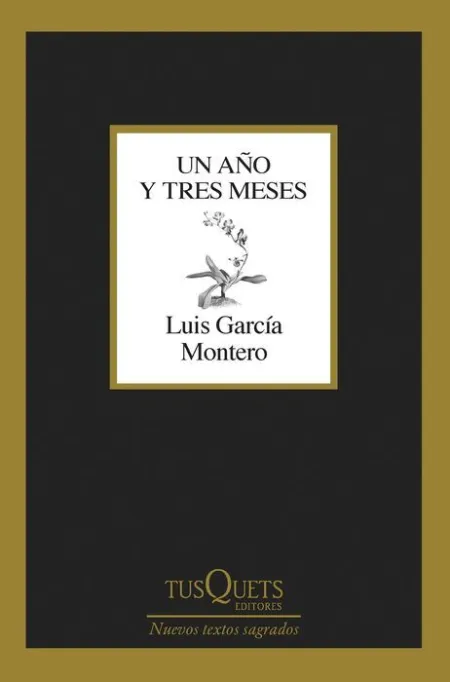 Un Año y Tres Meses