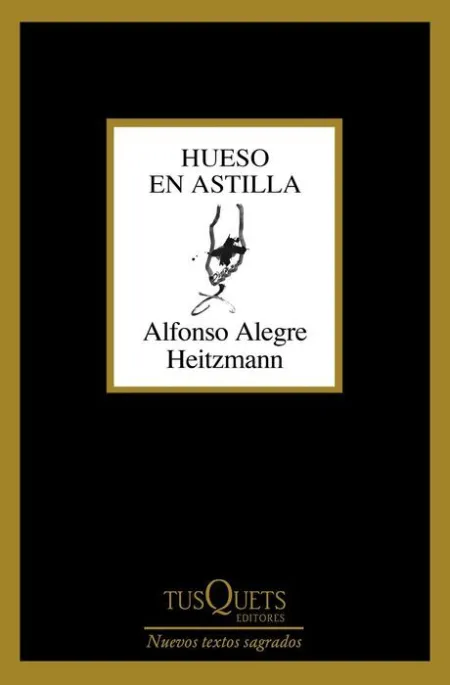Hueso en Astilla