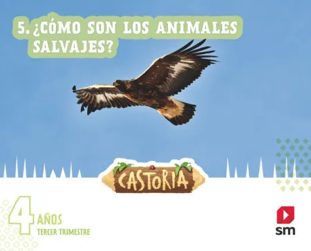 022 4Años 3Trim Globalizado Castoria
