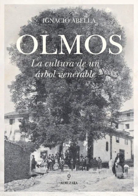 Olmos. La Cultura de un Árbol Venerable