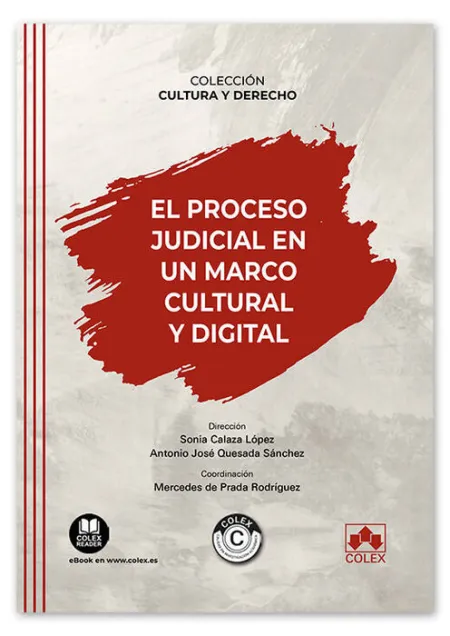 El Proceso Judicial en un Marco Cultural y Digital
