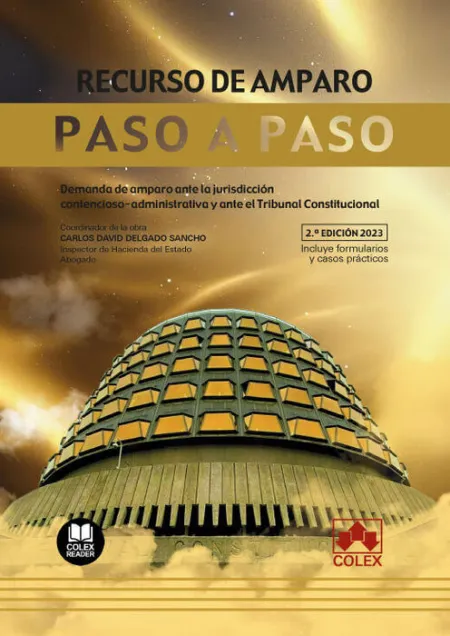 Recurso de Amparo. Paso a Paso