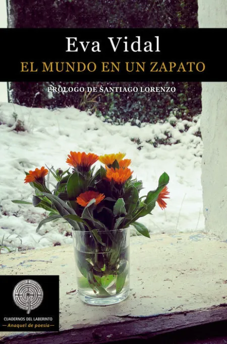 El Mundo en un Zapato