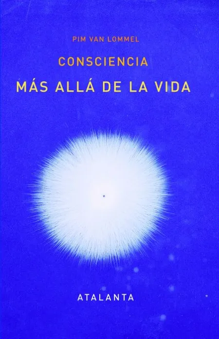 Consciencia Más Allá de la Vida