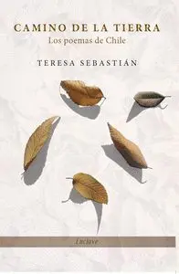 Camino de la Tierra