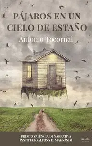 Pã?Â¡Jaros en un Cielo de Estaã?Â±O