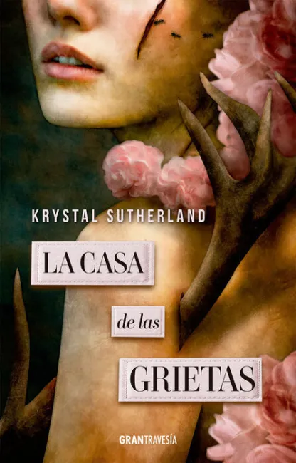 Casa de las Grietas, la