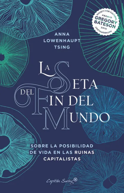 La Seta del Fin del Mundo