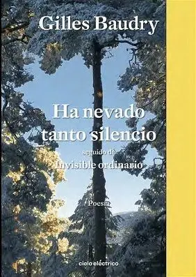 Ha Nevado Tanto Silencio