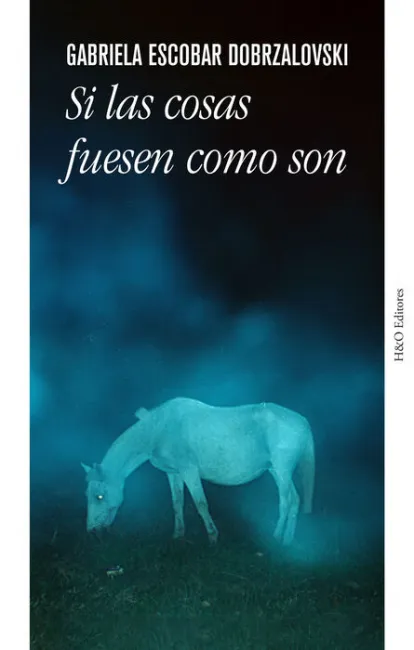 Si las Cosas Fuesen Como Son