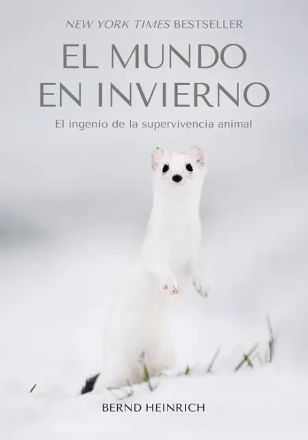 El Mundo en Invierno: el Ingenio de la Supervivencia Animal