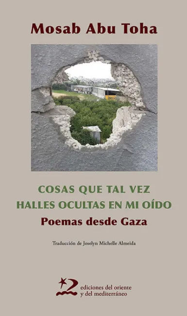 Las Cosas que Tal Vez Halles Ocultas en mi Oido