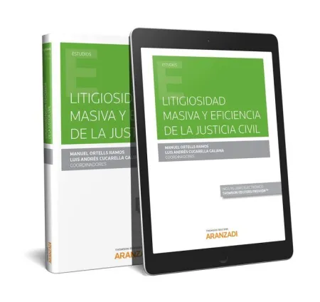 Litigiosidad Masiva y Eficiencia de la Justicia Civil (Papel + E-Book)