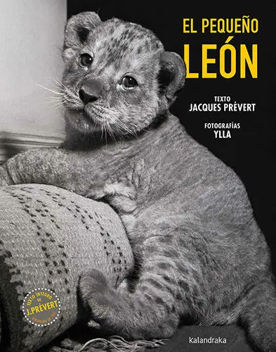 El Pequeño León