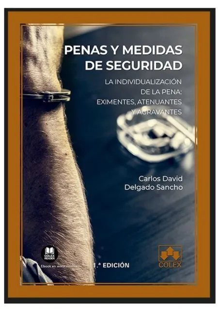 Penas y Medidas de Seguridad